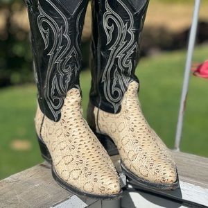 Tony Lama Gold Label Water Snake 10D